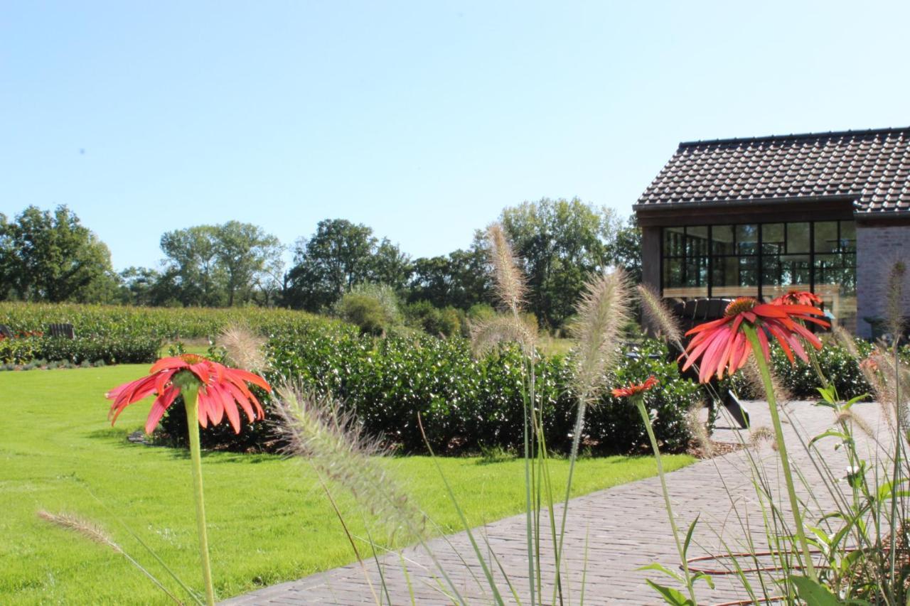 Elvier B&B Mol Luaran gambar